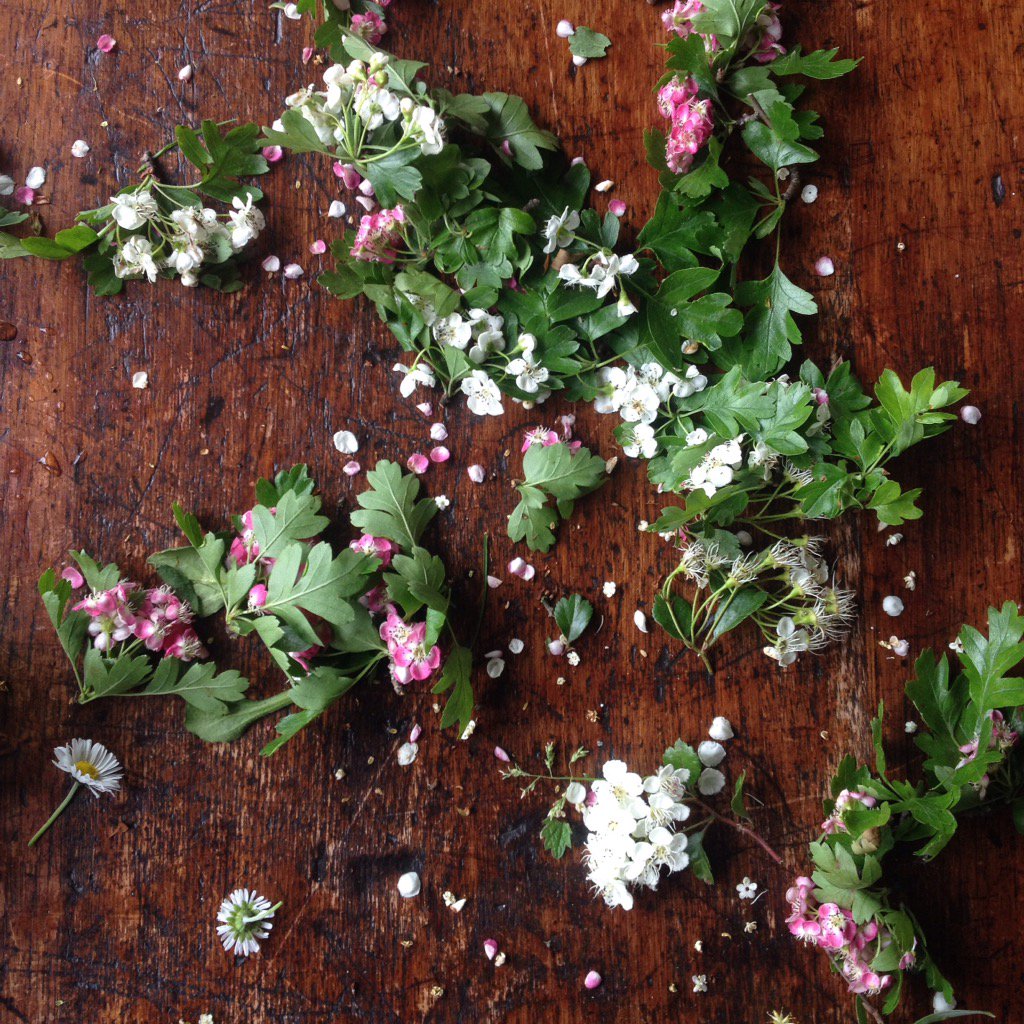 Handmade Apothecary🌿 tweet media