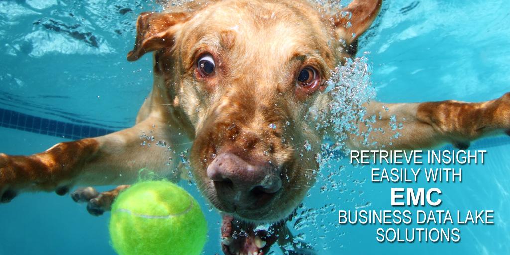 CStreubert's tweet image. Data Governance - don&apos;t drown in your data lake! #EMCSAP #SAPPHIRENOW Wednesday 12:45 ow.ly/Y9Ci300dbLJ S330H