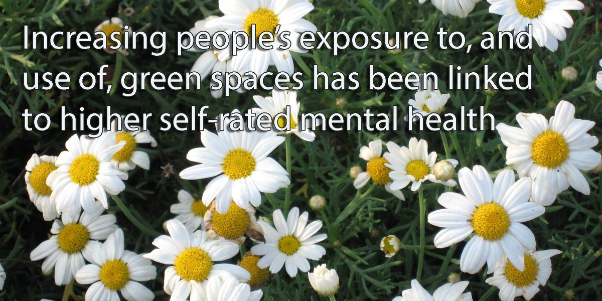 Why gardening can be good for #MentalHealth from @TheKingsFund  bit.ly/25a0vLQ #MHAW16 #GardensForHealth