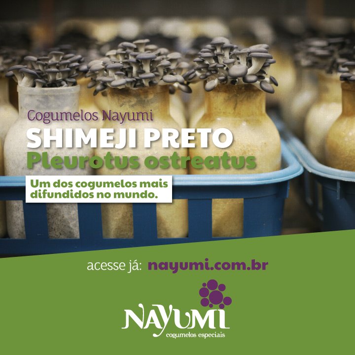 Nayumi Cogumelos Especiais 