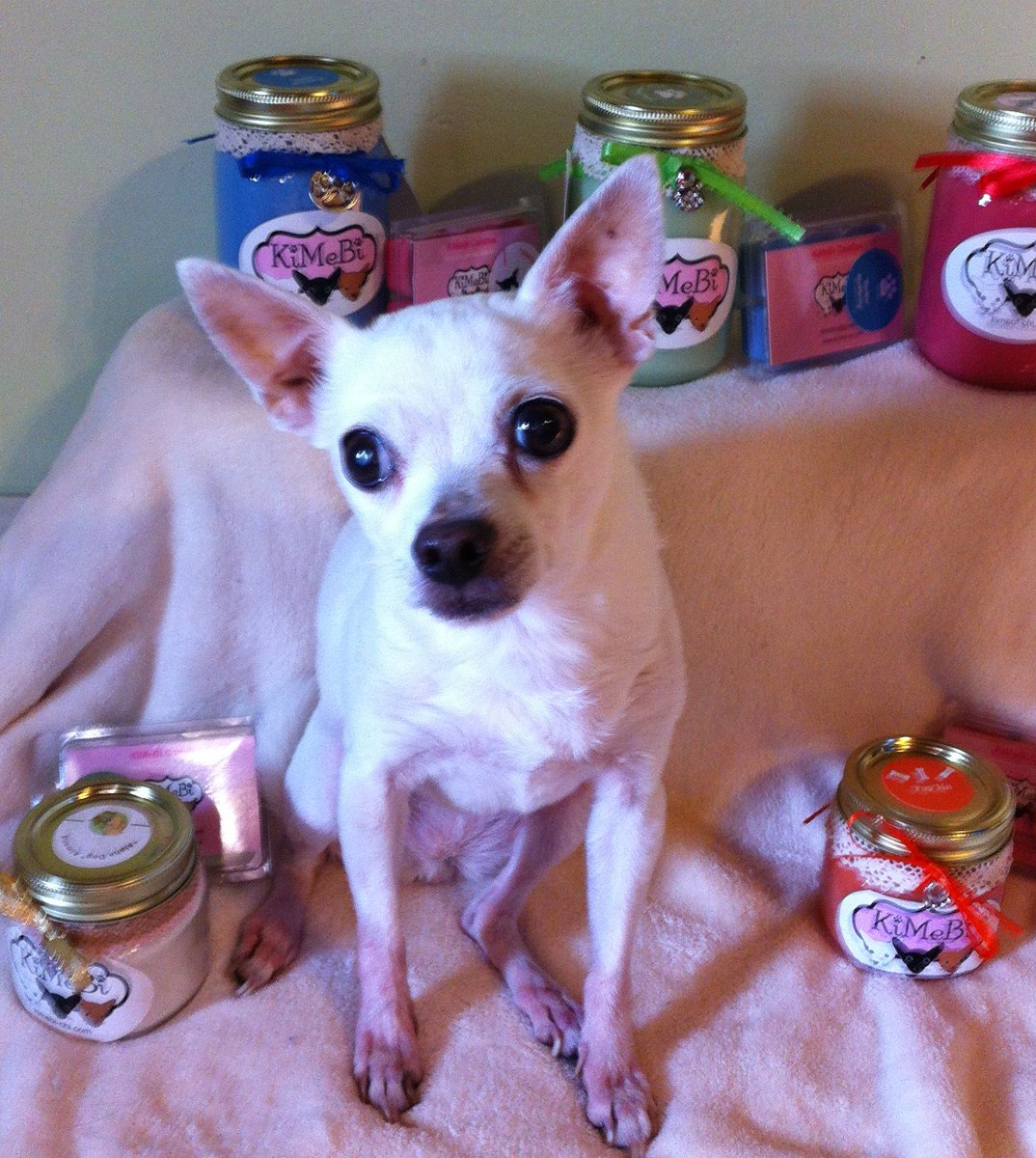 KiMeBiCandles's tweet photo. For Kita's 16th birthday KiMeBi is offering 16% off ALL candles! Just apply our BDAY16 promo code at checkout! https://t.co/gRG6HMOxkV