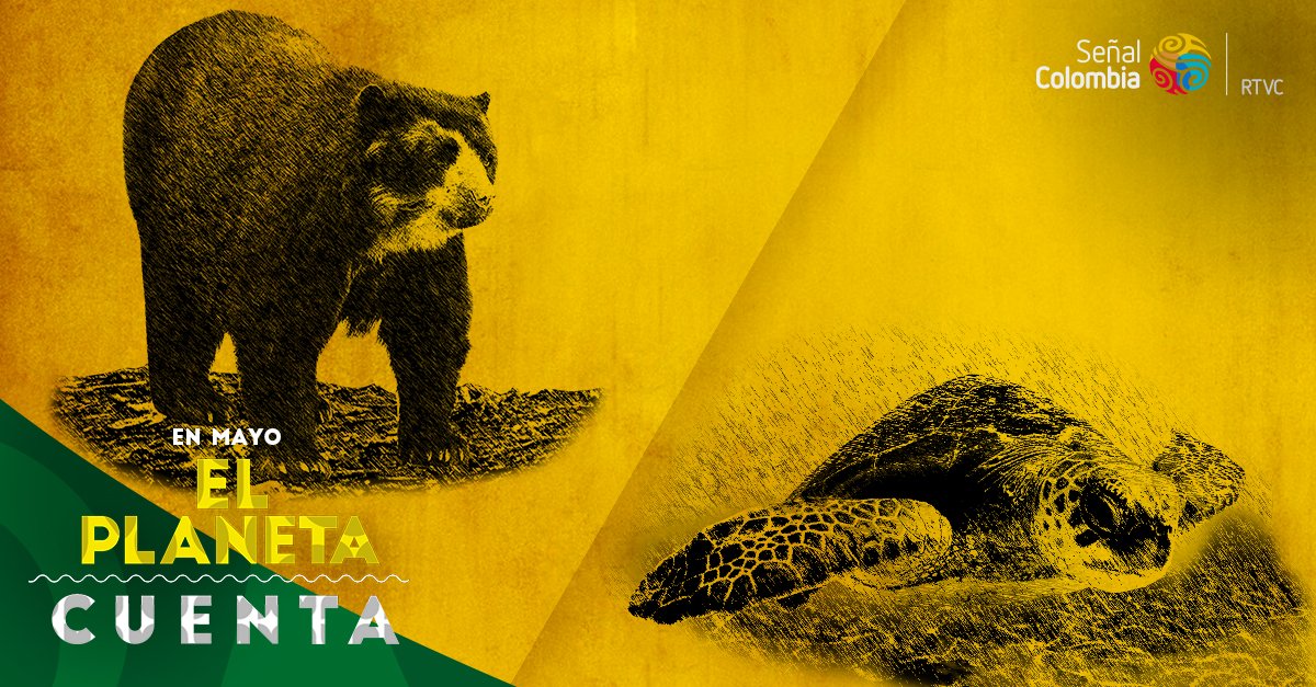 SenalColombia's tweet photo. Dos historias, un mismo mensaje: ¡La extinción animal no es un juego! 'Héroes al rescate animal', hoy 8:00 p.m. https://t.co/VL7CvivjRI