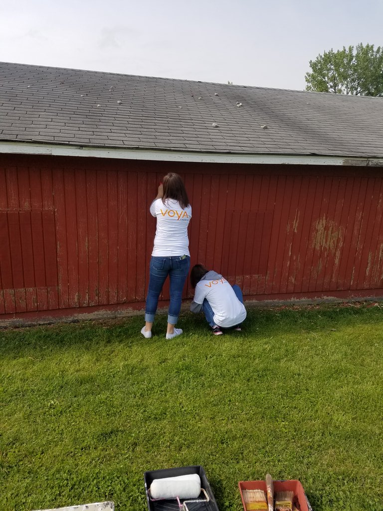 Bssteeples's tweet image. Having fun painting and scraping get the barn during @Voya National Dat of Service #VoyaDifference