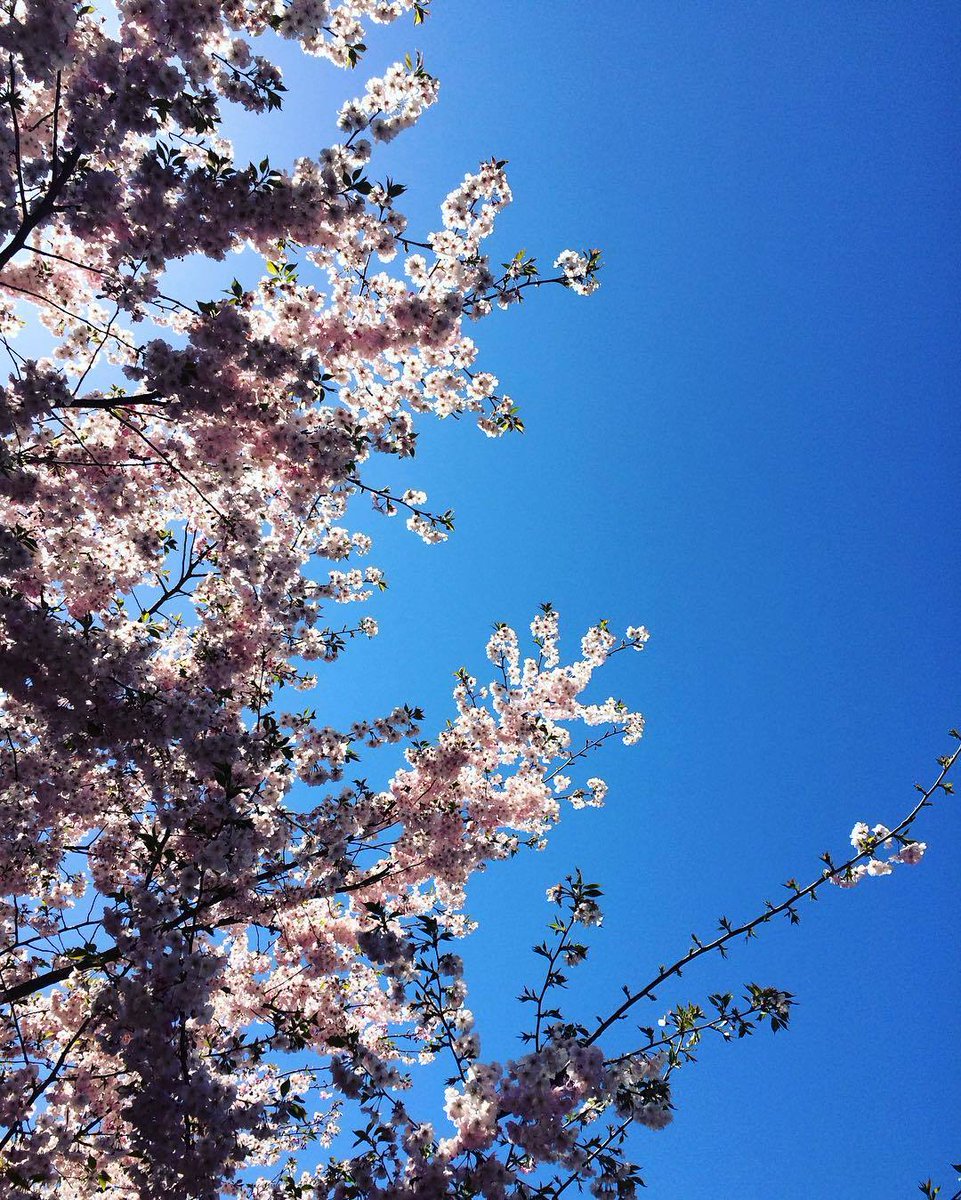 spacesworks's tweet image. Sunny days in Long Island City are pretty unrivalled. Taken by #spacesmember Astoria NY Style.