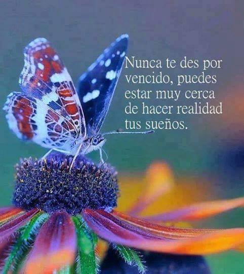 Serviprof_ec's tweet photo. "Nunca te des por vencido, puedes estar muy cerca de hacer realidad tus #sueños 

#éxito #startup #emprendedores https://t.co/tiNpUw2hWh