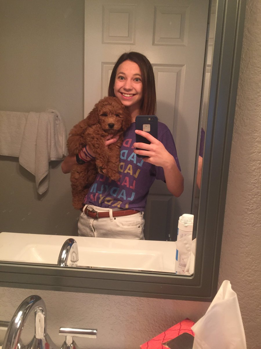 laniwalt's tweet photo. Excited to welcome my new puppy nephew to the fam, he's a teddy bear&amp;a piece of fried chicken all wrapped into one😍 https://t.co/1HWpspY2yT