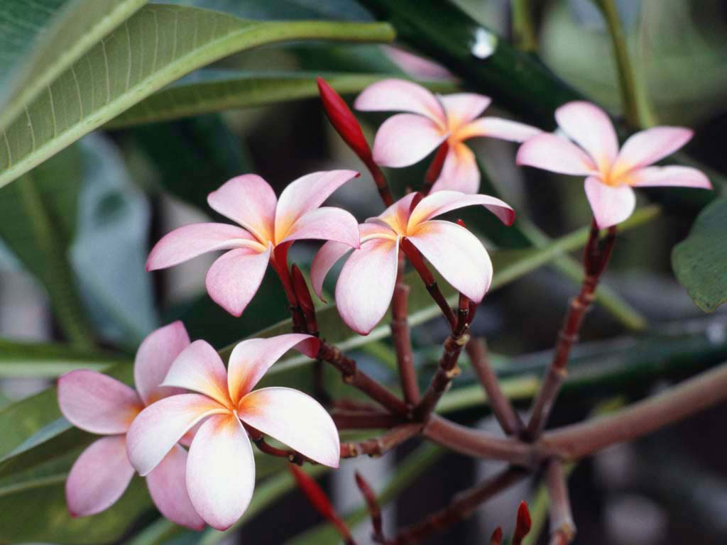 JorjaFernandez's tweet photo. ya ha llegado la primavera os gusta? https://t.co/PLFwtBwSeM