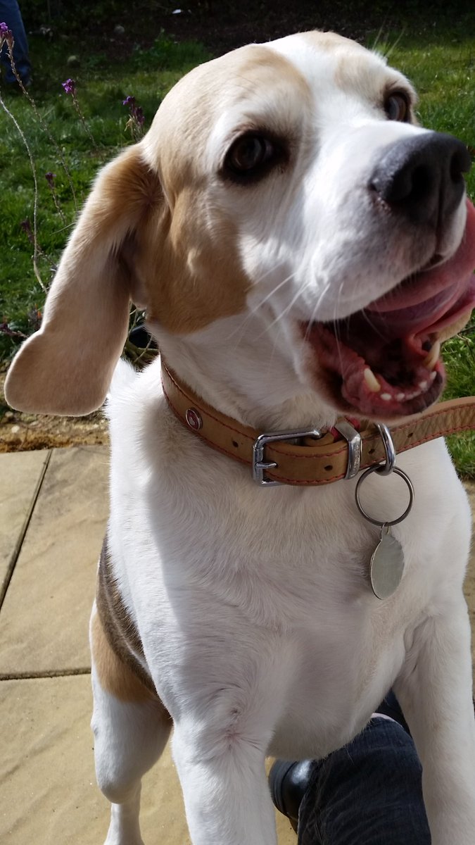 Cake cake cake.....!!!!!!! 🎂🎂🎂🎂🎂🎂