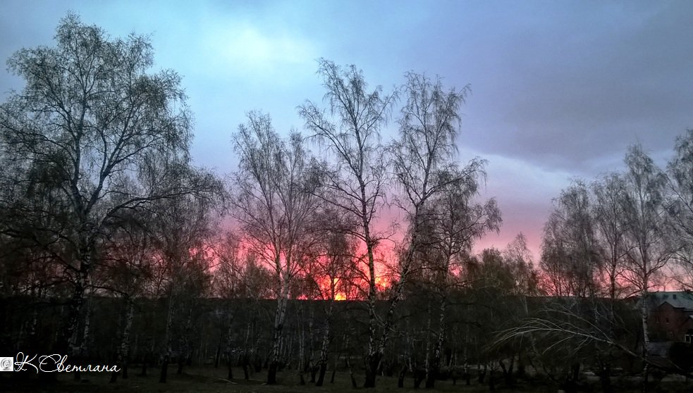 OriginGabri's tweet image. 