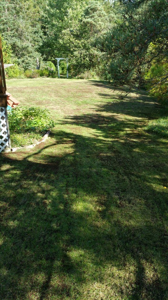 york_south's tweet photo. Great example of a homeowner having their lawn Slit Seeded. #nutrilawn #slitseeding #lawncare #homeowner https://t.co/t5u0B2ObFl