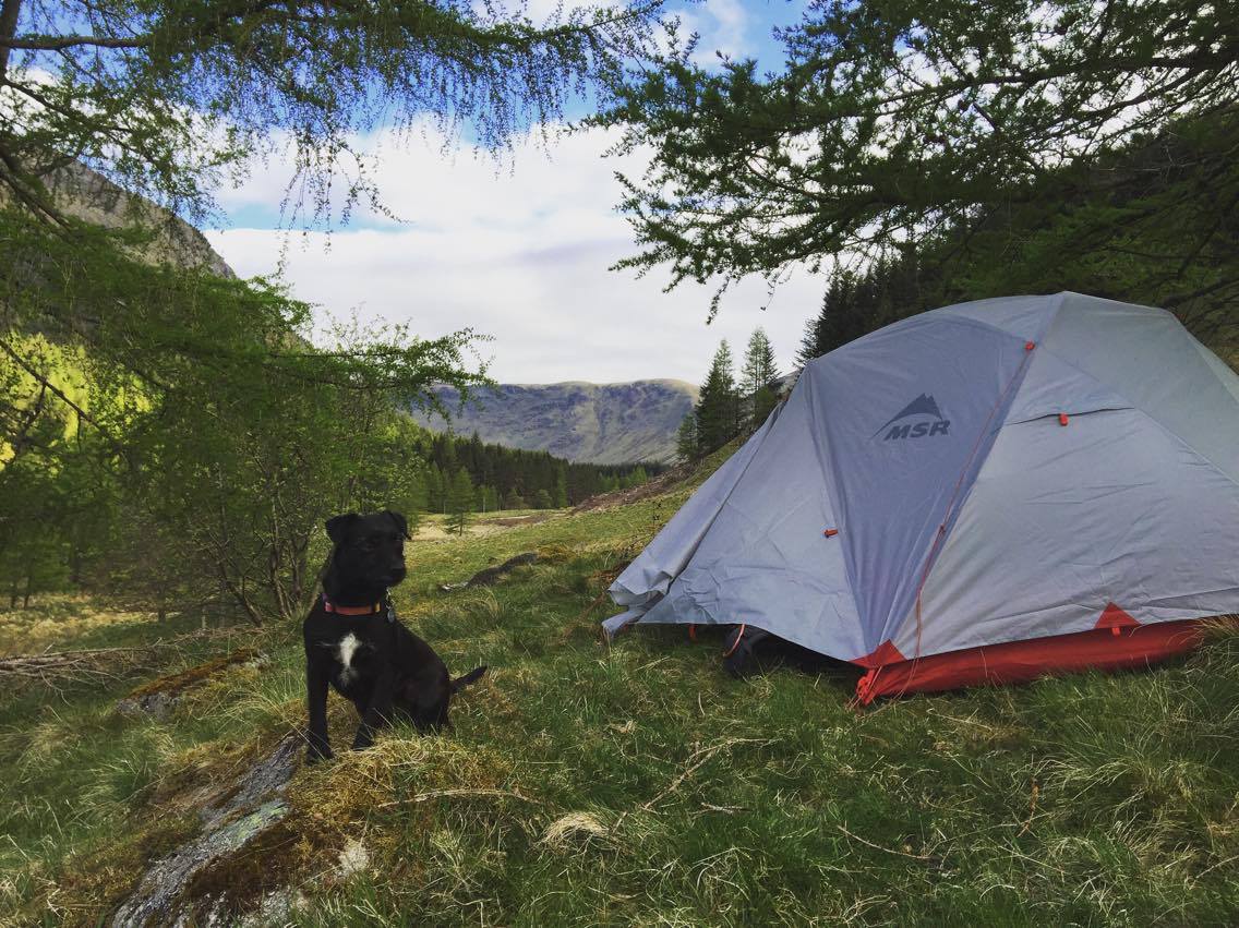 Members of staff got out to test a new purchase in Glen Clova this weekend! <a href="/msrgear/">MSR | Mountain Safety Research</a> <a href="/CotswoldOutdoor/">Cotswold Outdoor</a> #ABDNCotswold