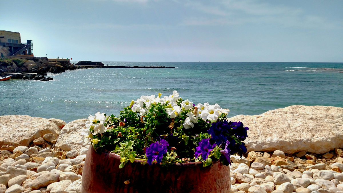 DesertFormation's tweet photo. Caesarea https://t.co/GLU4vgIPRk