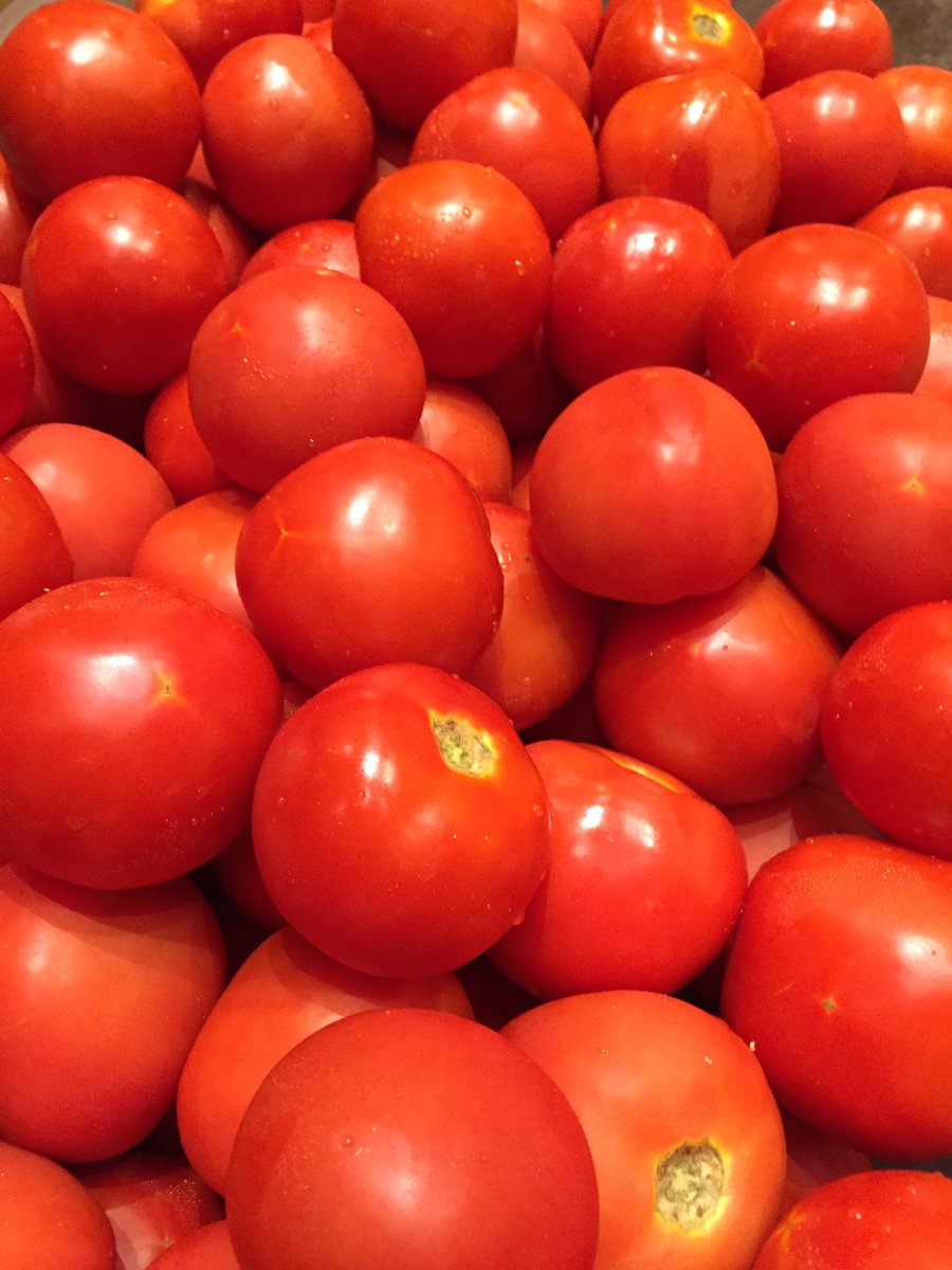 rentulsa's tweet photo. Getting ready for our semi-annual farmer's market!  It's #marriottassociateappreciationweek https://t.co/nFojrFXXVN