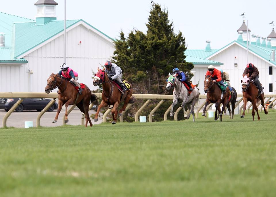 ONTRacing's tweet photo. In full flight: the Euro green scene Photo by @CHRTB_ #EuroTurf #horses #horseracing #eptaylor @WoodbineRacing https://t.co/KC0hKk3tSc