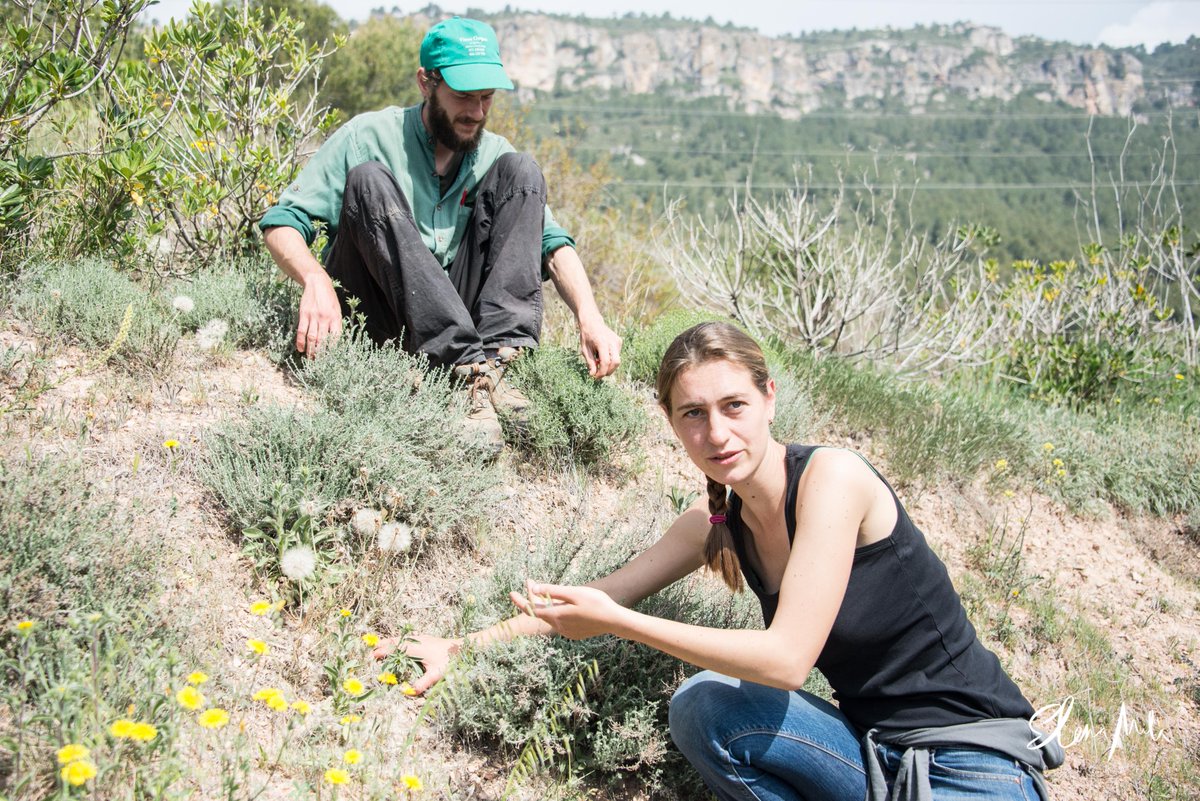 Tros Food 2017 tweet media