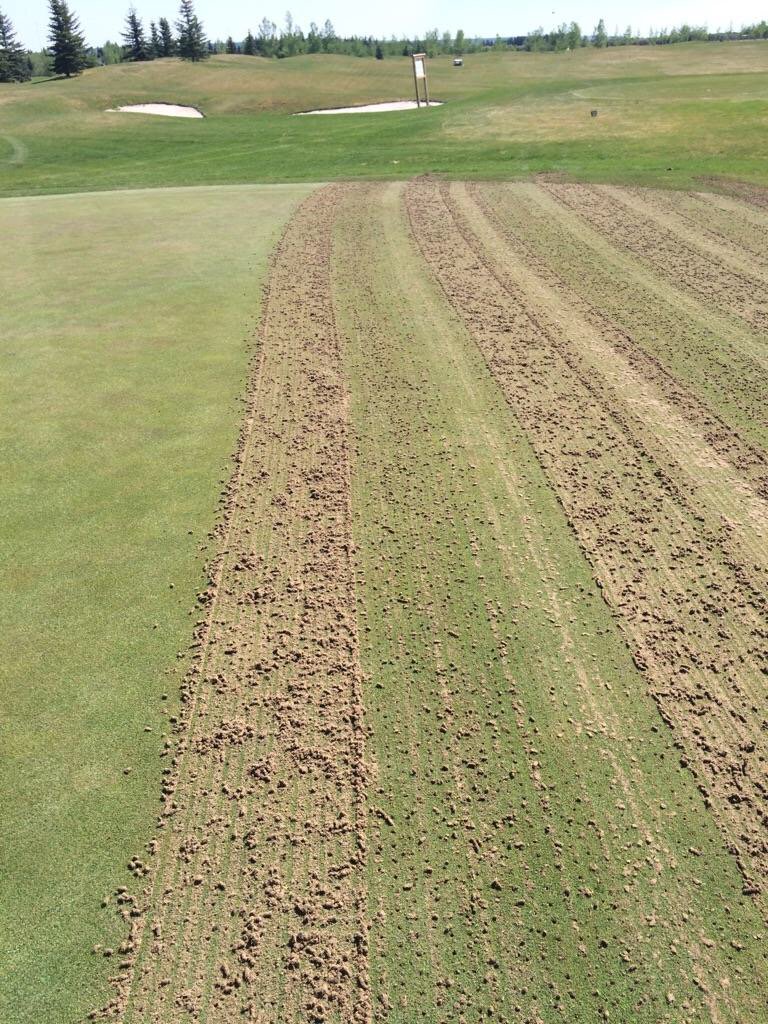 Side by side comparison. CTI Phoenix tines vs. CTI carbide tip. 1/4" hollows. Phoenix pulls more material
