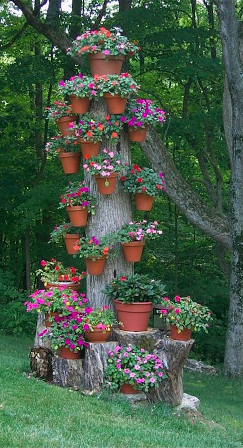 TangerOttawa's tweet photo. Do you have a green thumb? Create a masterpiece just using pots! 

Image Courtesy of https://t.co/tW1Lfn51fS https://t.co/kJjC0Lh1yJ