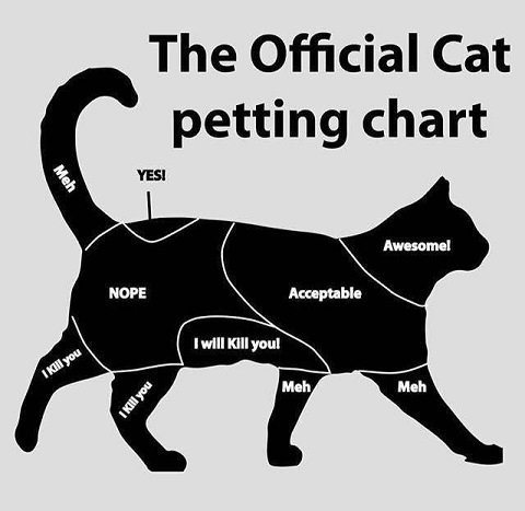 Petting Chart