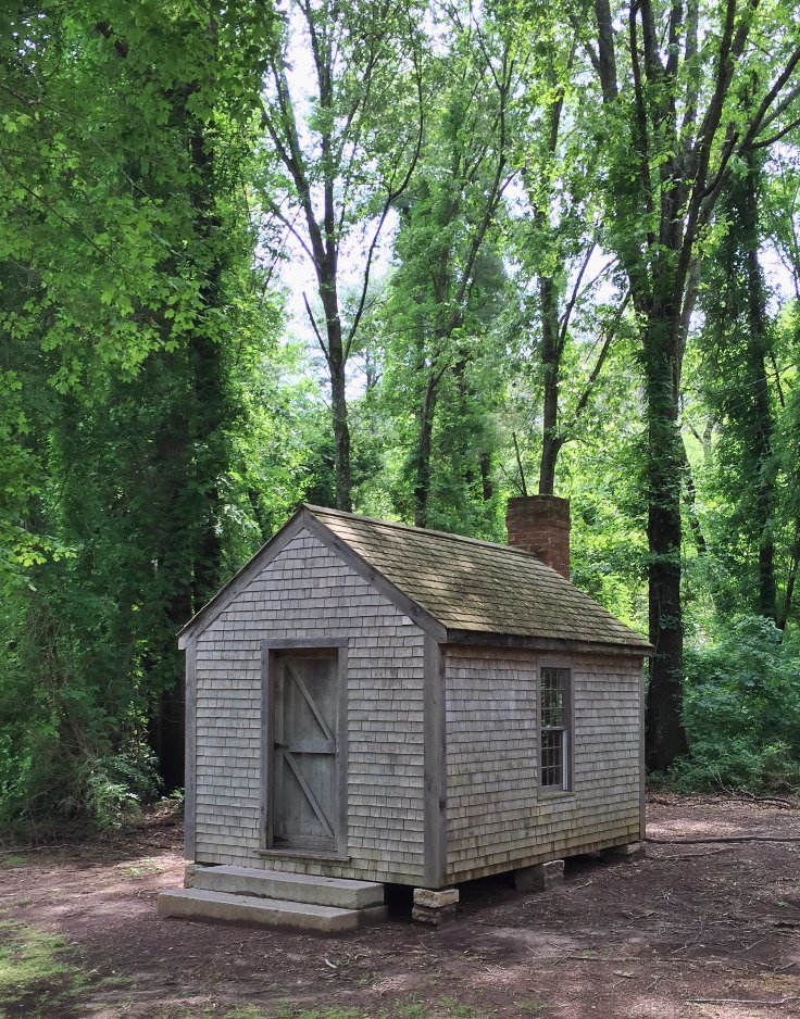 Greenville_SC's tweet photo. DYK: Students at @FurmanU built the Thoreau Cabin by hand? // 📷 by Gabriel Craft https://t.co/k1jZ9R1njT https://t.co/15bTSmY9oX