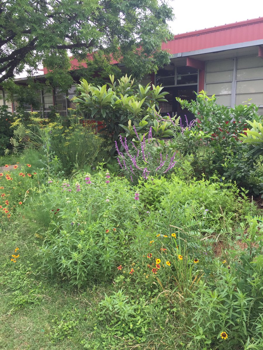 EastsideSoil's tweet photo. #EMHS: We are SO beautiful! #KeepEastsideBeautiful https://t.co/fd7Rt4oNEp