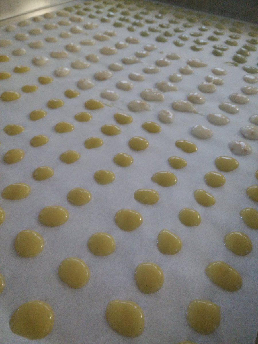 Nabu5Neda's tweet photo. Mango lassi, lychee-aloe, and matcha green tea vegan yogurt drops! #zenyogurtco #fst160 #foodprodpro https://t.co/NC2cA3aItr