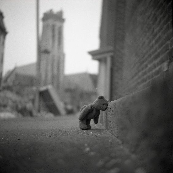 bryanbrtltt's tweet photo. Boy do I know that feeling little teddy bear. https://t.co/dXdecryKvx