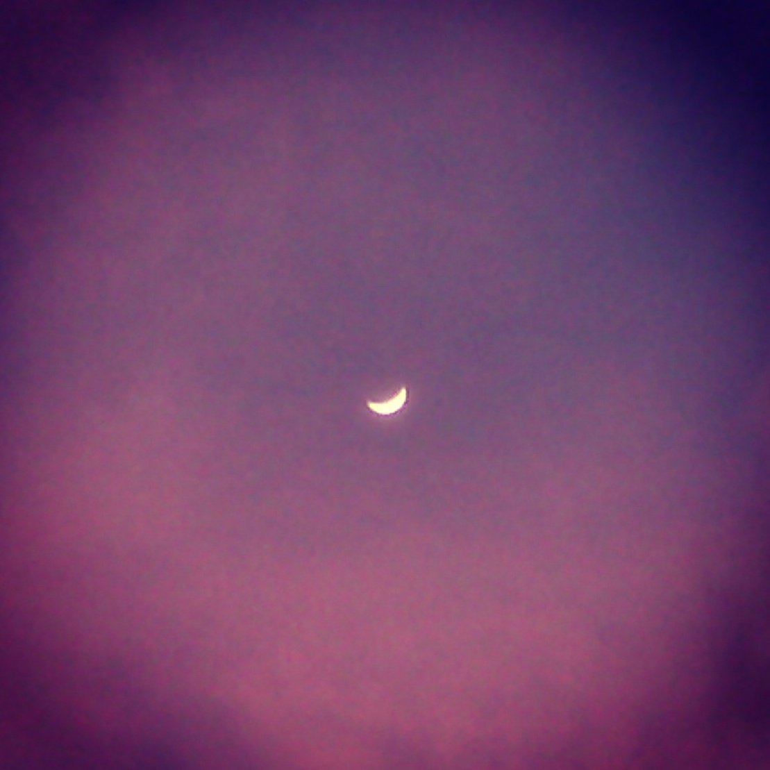 CastaMayko's tweet photo. #luna #corrales #sombrerete #zacatecas https://t.co/UTHpVrsBfb