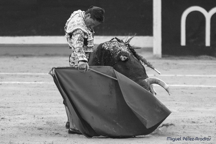 miguelmipereza's tweet photo. Ganas que llegue mañana para volver a ver a @urdialesweb ante toros de Fuente Ymbro.
Fotos @miguelmipereza https://t.co/BYddYRr89E