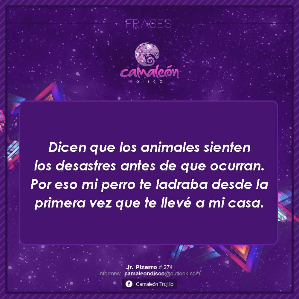 CamaleonDisco's tweet photo. XD https://t.co/s8WKPJOrCd