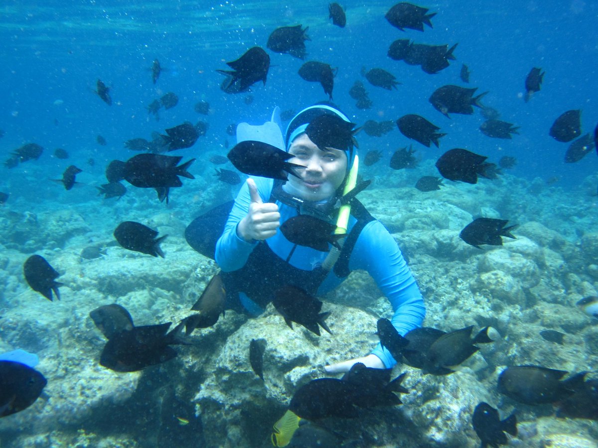 mega_pujianto's tweet photo. Mari jong ka bunakenn!! #wisataMBE201 #triptomanado https://t.co/F9ccllkKiN