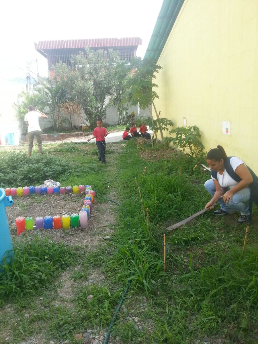 CEINGuatireZ's tweet photo. Realizando mantenimiento al #HuertoEscolar @mescolarzamora @brenwil16 https://t.co/v2i5Z0HNuP