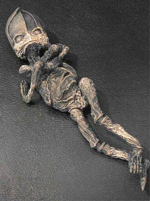 UFOgreys's tweet photo. https://t.co/RL3Fwx9IGw ๐ฅ #RussianAlien @UFO_RESEARCH @GuyBigFoot @FlyingSaucerHou @alienvault https://t.co/wNybSa1Y9B