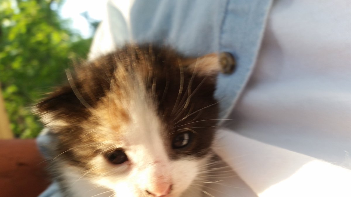 Tate_Neilsen's tweet image. 