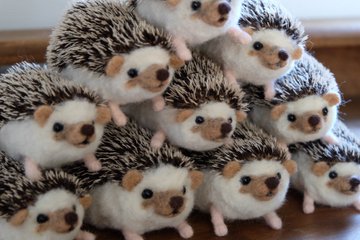 羊毛フェルト製ハリネズミがかわいすぎてやばい どんなトゲがあろうと抱きしめたくなるレベル 中川龍のひまつぶし