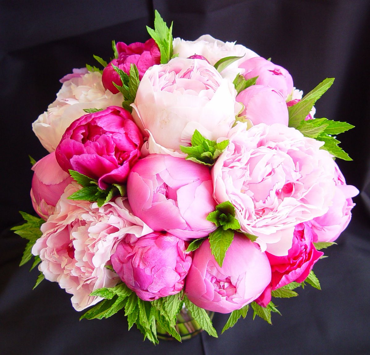 bulb_chat's tweet photo. #LetMeCheerYouUp with a lovely bouquet of #fragrant #peony flowers. https://t.co/J72ULmlS07 #peony #sale #sales https://t.co/76uVTA0Ne0