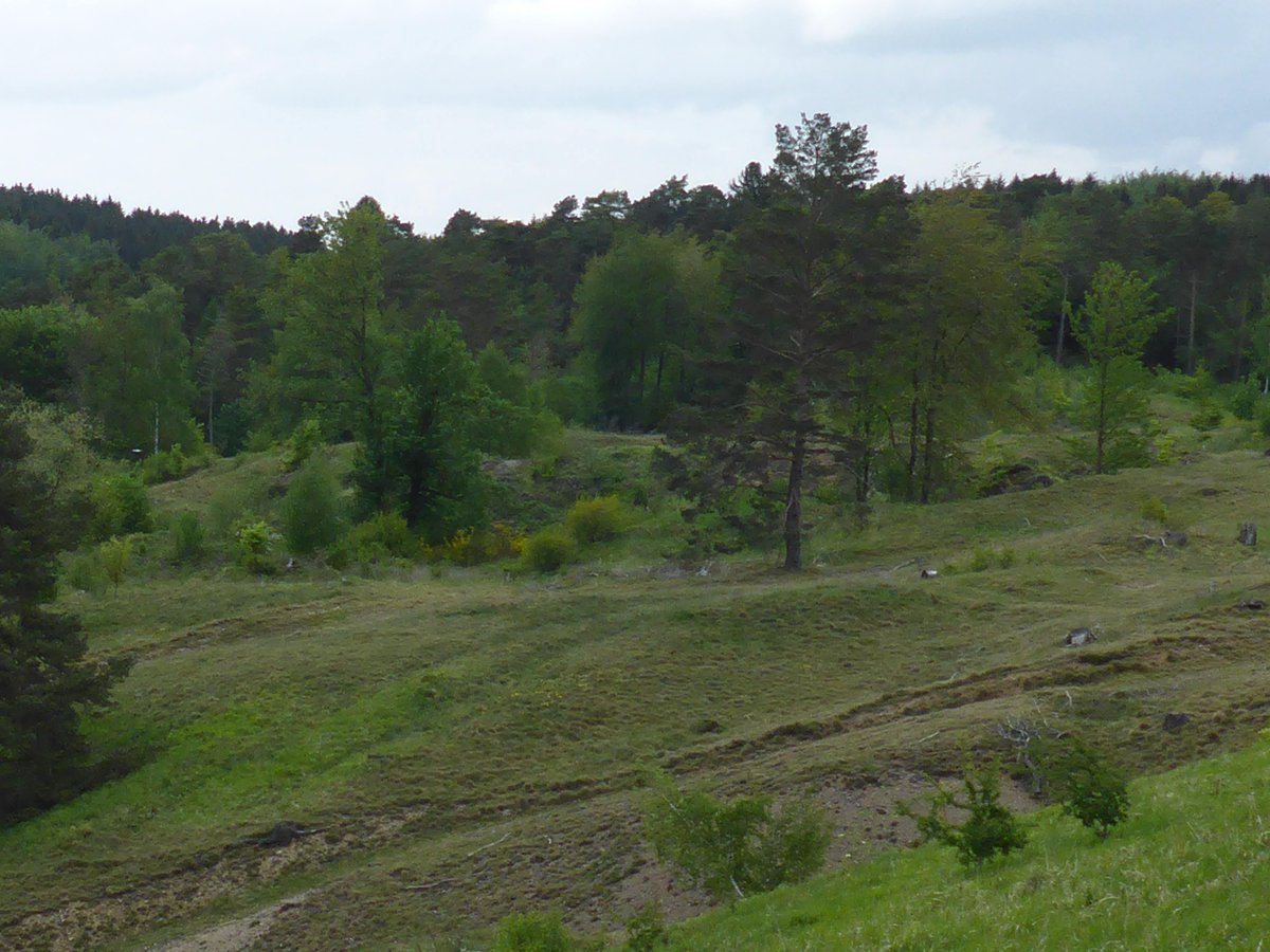 DoktorZorn's tweet photo. #Schlangenberg, #Aachen, #NRW, #Germany; #Landscape... https://t.co/FBPwRmMnUu