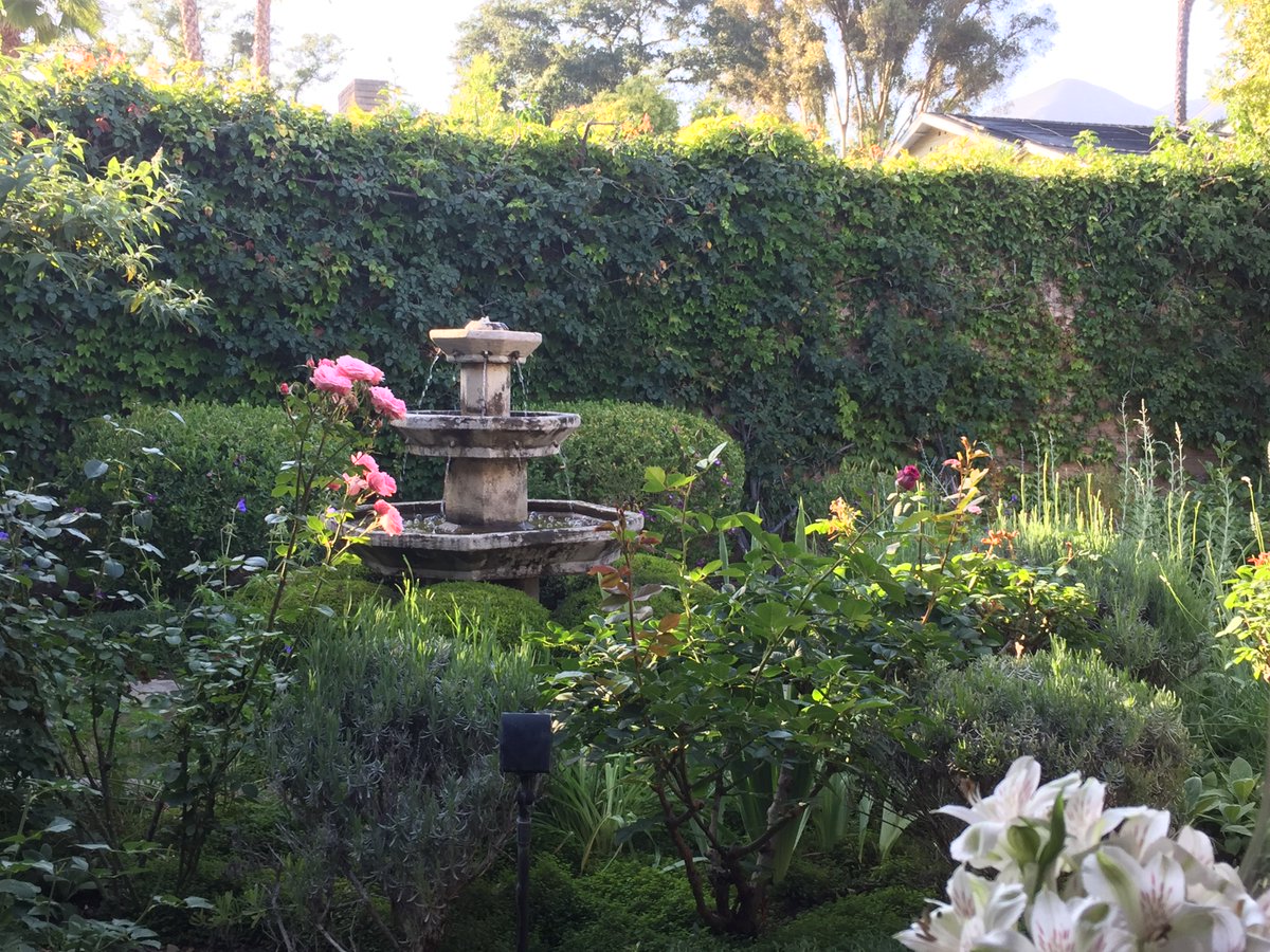 william tomicki tweet media