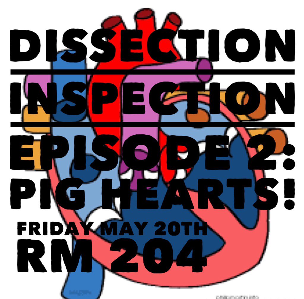 RHSS Science Club (@rhssscienceclub) on Twitter photo 