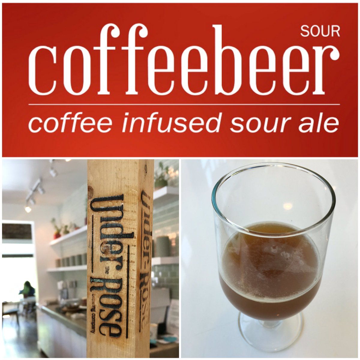 Under The Rose tweet media