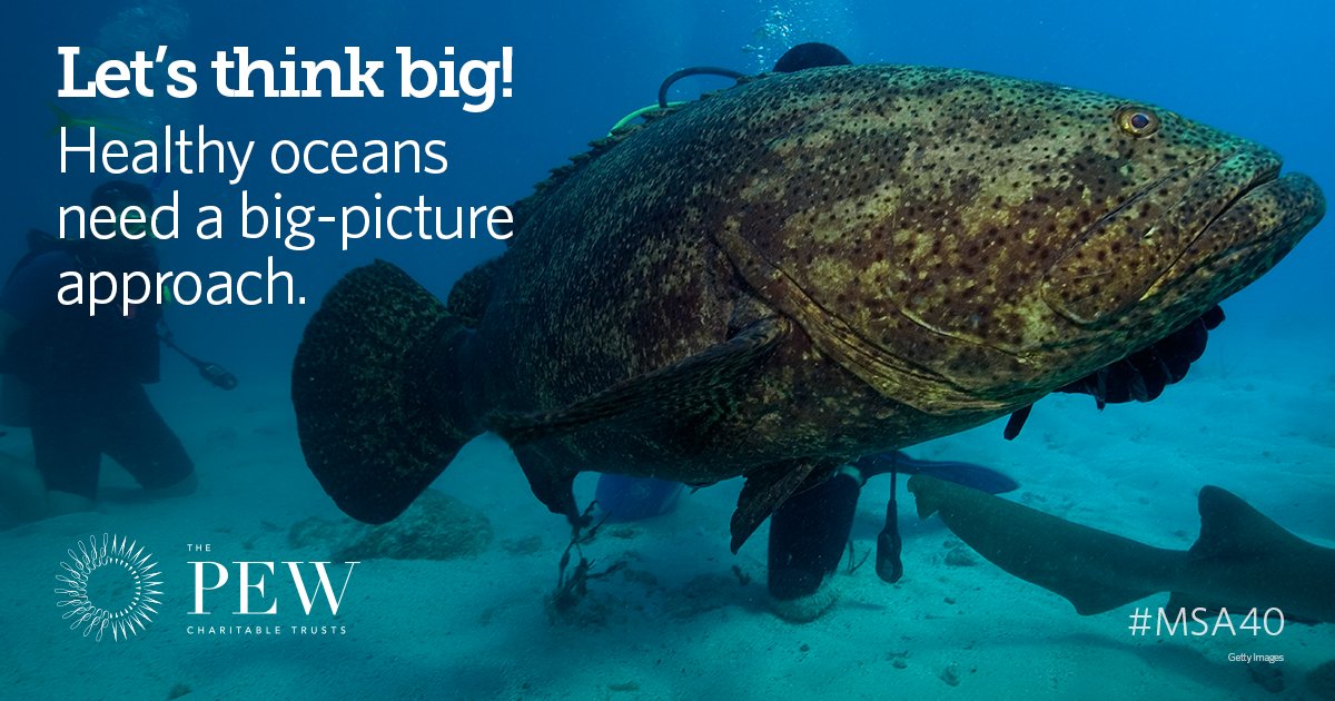 pewenvironment's tweet photo. “Major changes are occurring in the world’s oceans.” How fishing can adapt: https://t.co/hQ752Hvgae #MSA40 https://t.co/QPl1SXPzmr