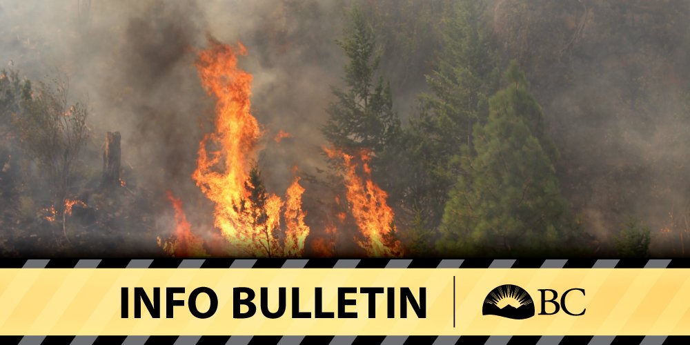 BCGovFireInfo's tweet image. Crews responding to ~182 ha #BCwildfire north of Puntzi Lake in #Cariboo Fire Centre: bit.ly/1Tm9UbR