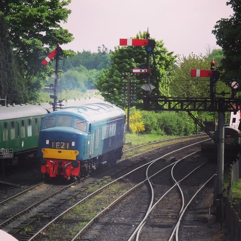 EstebanLainezM's tweet image. #D182 #46045 #class46 #peak #diesel #severnvalleyrailway #england #train #svr #bridgnorth #instagood #i #favourite …