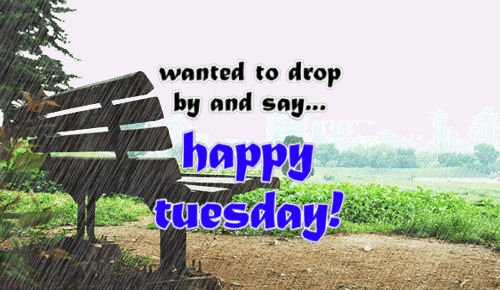 It's overcast &amp; a slower day
But I wanted to take a moment
and say - Happy Tuesday !!
·