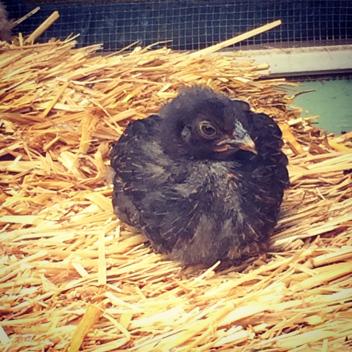 Kylo Ren phase. #starwars