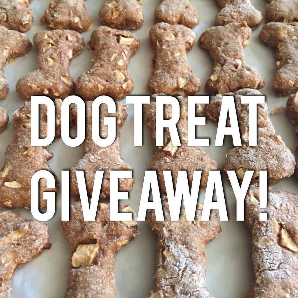 cute_dog_zone's tweet photo. We know you love your dog and what they eat so we are giving away preservative free, all natural dog treats from Th… https://t.co/SEcwpF6hFm