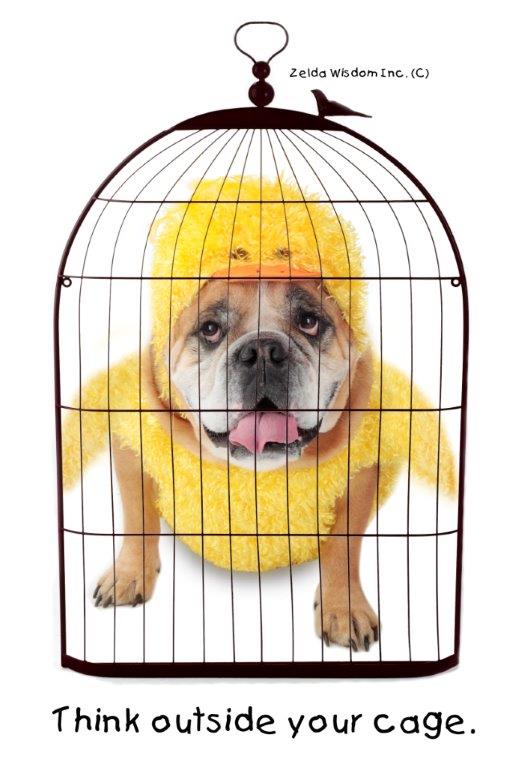 ValerieYoung's tweet image. How woman made her own j-o-b and a sm fortune ow.ly/6XDQ300iOHs 
#changingcourse