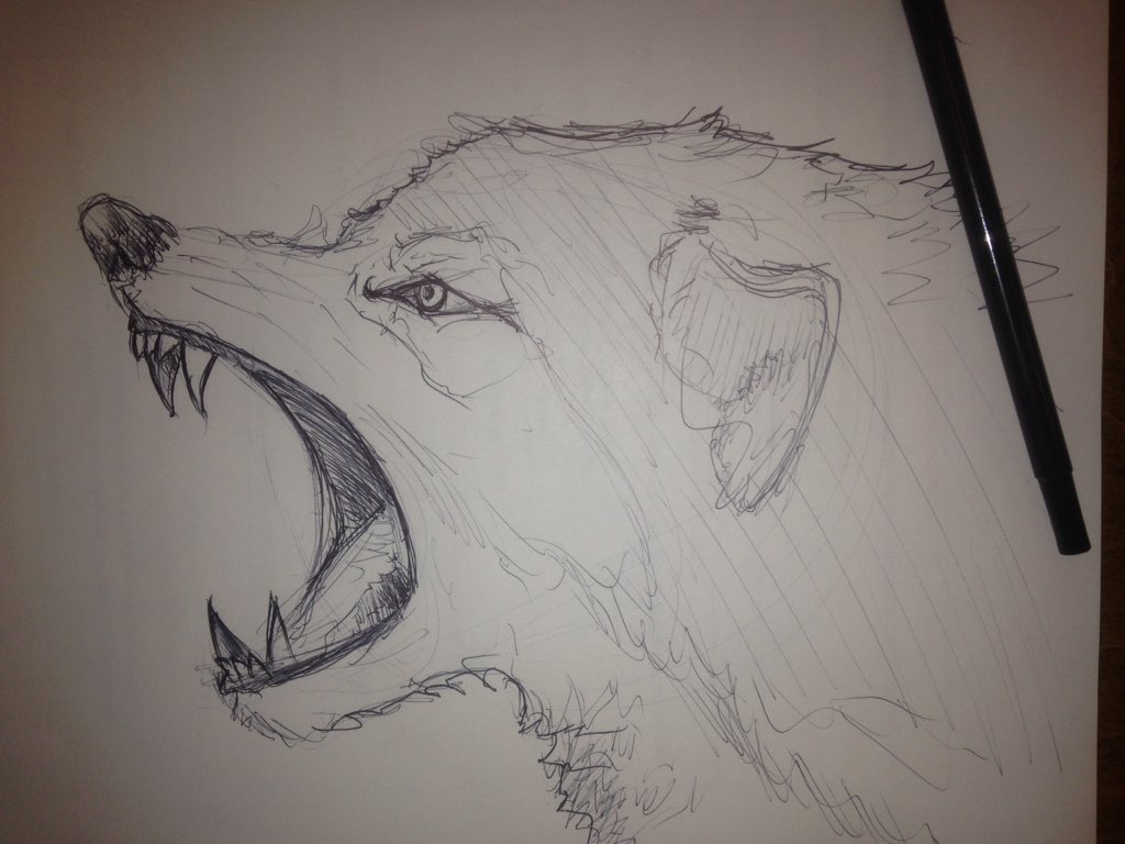 Stealthy_Games's tweet photo. Another #wolf #study #warmup #gamedev #indiedev #sketch #pen #ink #artoftheday #drawingoftheday #draw #drawing https://t.co/1xpZFbEMro