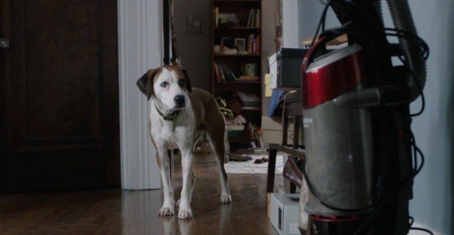 UPROXX's tweet image. ABC's new talking dog show #DownwardDog has a full-length trailer uproxx.it/1XkHWyq