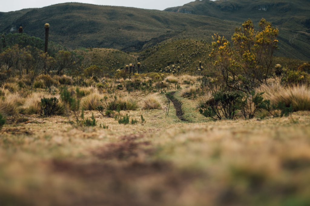Abe_ramirez_'s tweet photo. Less paved roads and more of this please. https://t.co/gLfDTzb8cG
