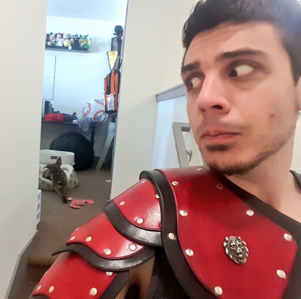 ChilledChaos's tweet photo. I think Rex is judging me... https://t.co/wyqHaugigi